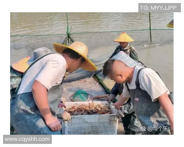 青岛国信水产推出新品种斑鱼，受到消费者热烈追捧