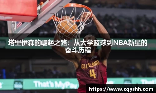 今年会手机下载